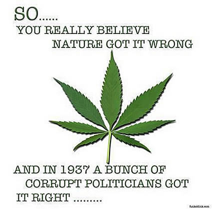 http://oneradionetwork.com/wp-content/uploads/marijuana_got_it_wrong.jpg