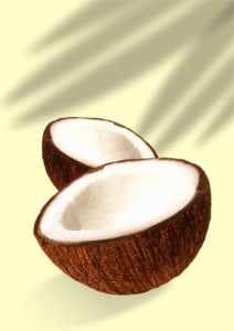 Coconut